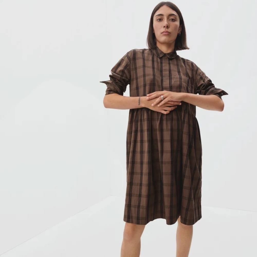 Everlane The Field Dress